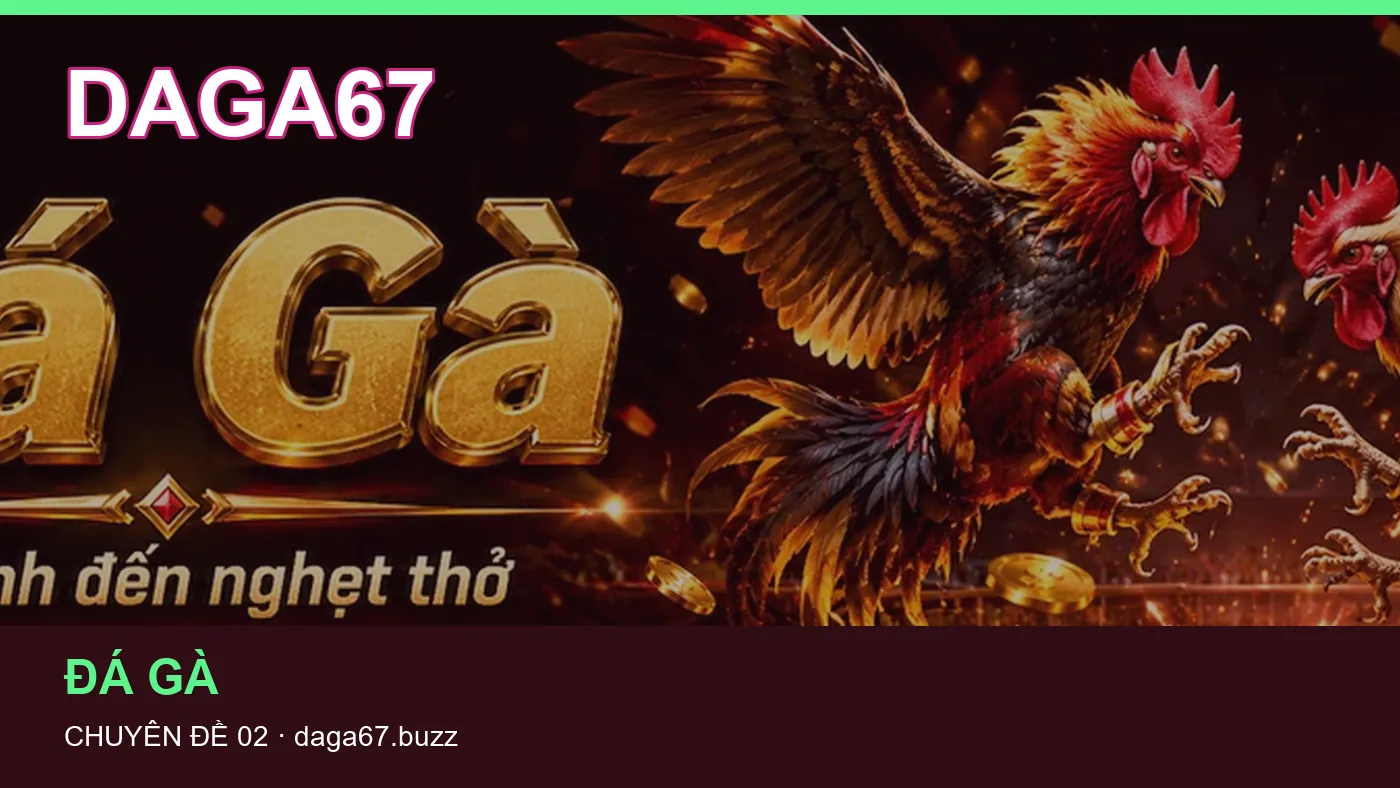Những nhầm lẫn thường gặp khi đọc nội dung Đá gà trên DAGA67